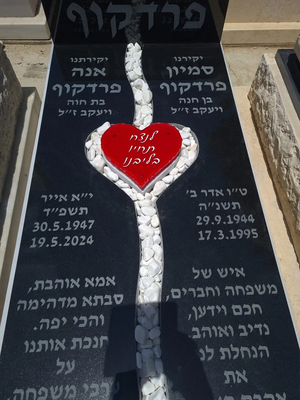 מצבה משפחתית (307)