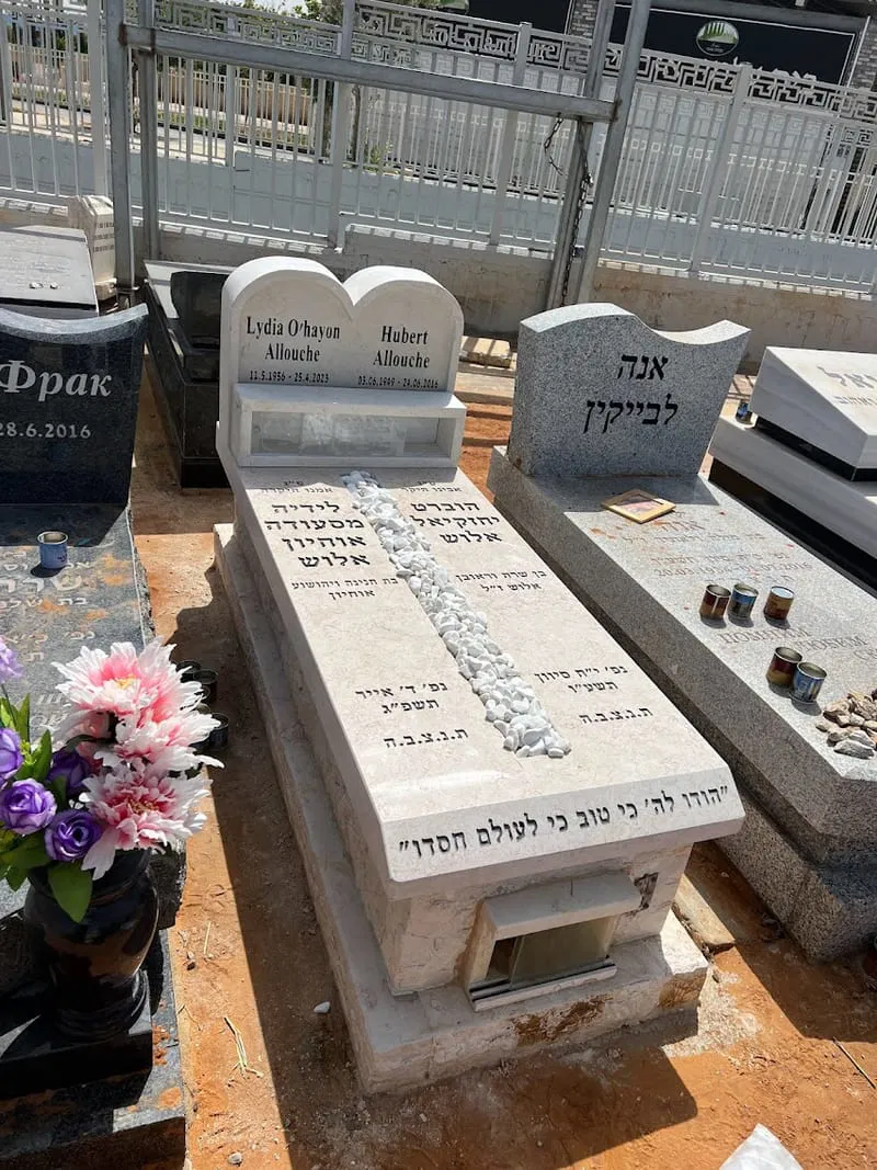 מצבה משפחתית (308)