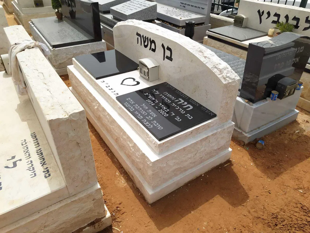 מצבה משפחתית (309)