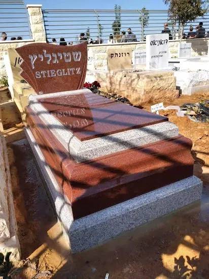 מצבה משפחתית (310)