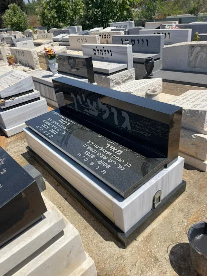 מצבה משפחתית (312)