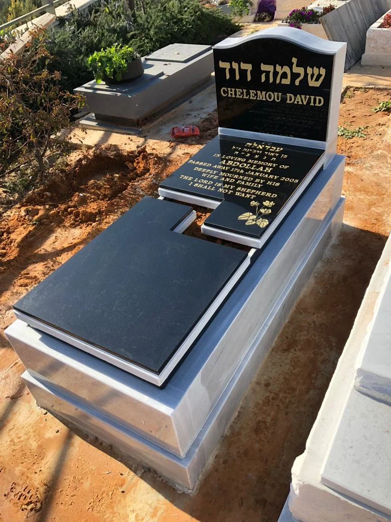 מצבה משפחתית (313)
