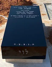מצבה גרניט (82)
