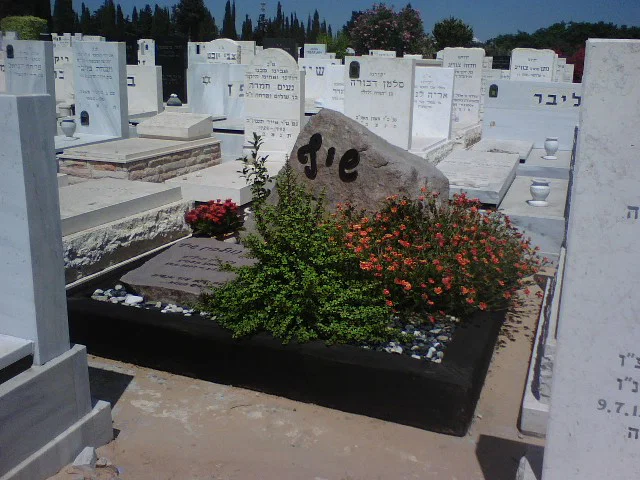 מצבה כפולה (105)