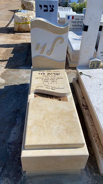 מצבה משפחתית (108)