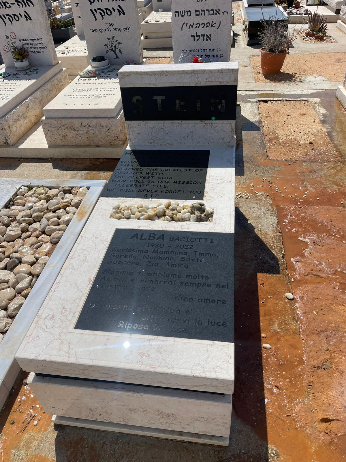 מצבה משפחתית (110)