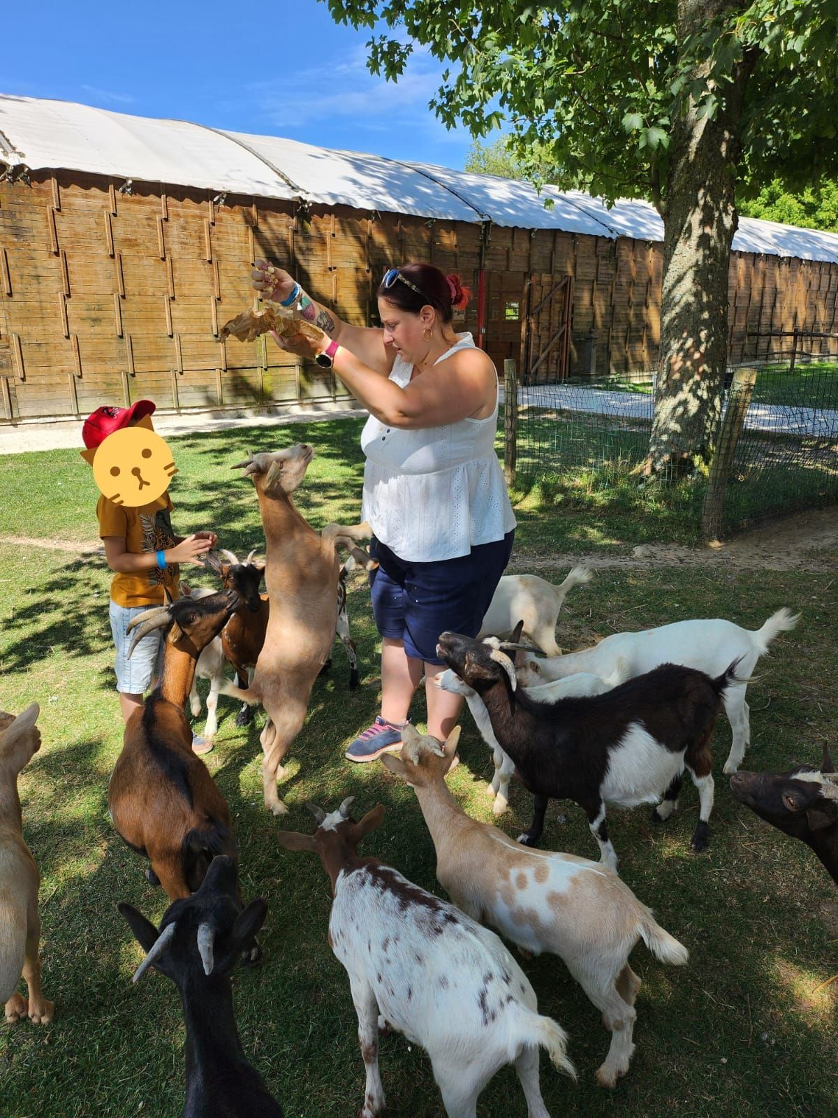 Sortie avec les animaux