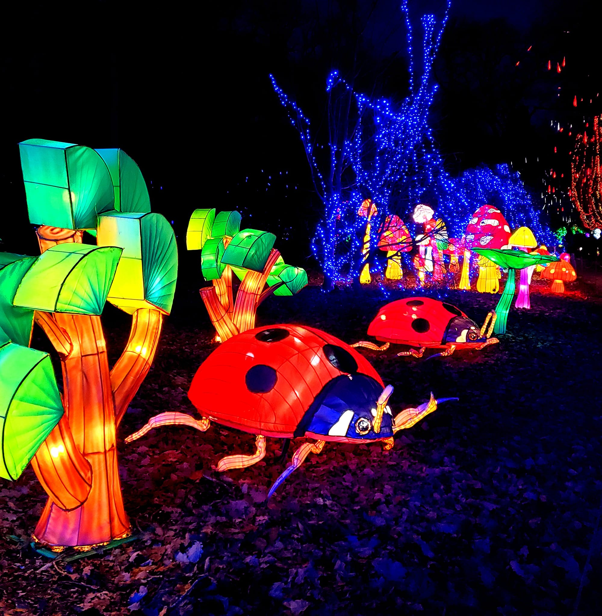 Thoiry en Lumières