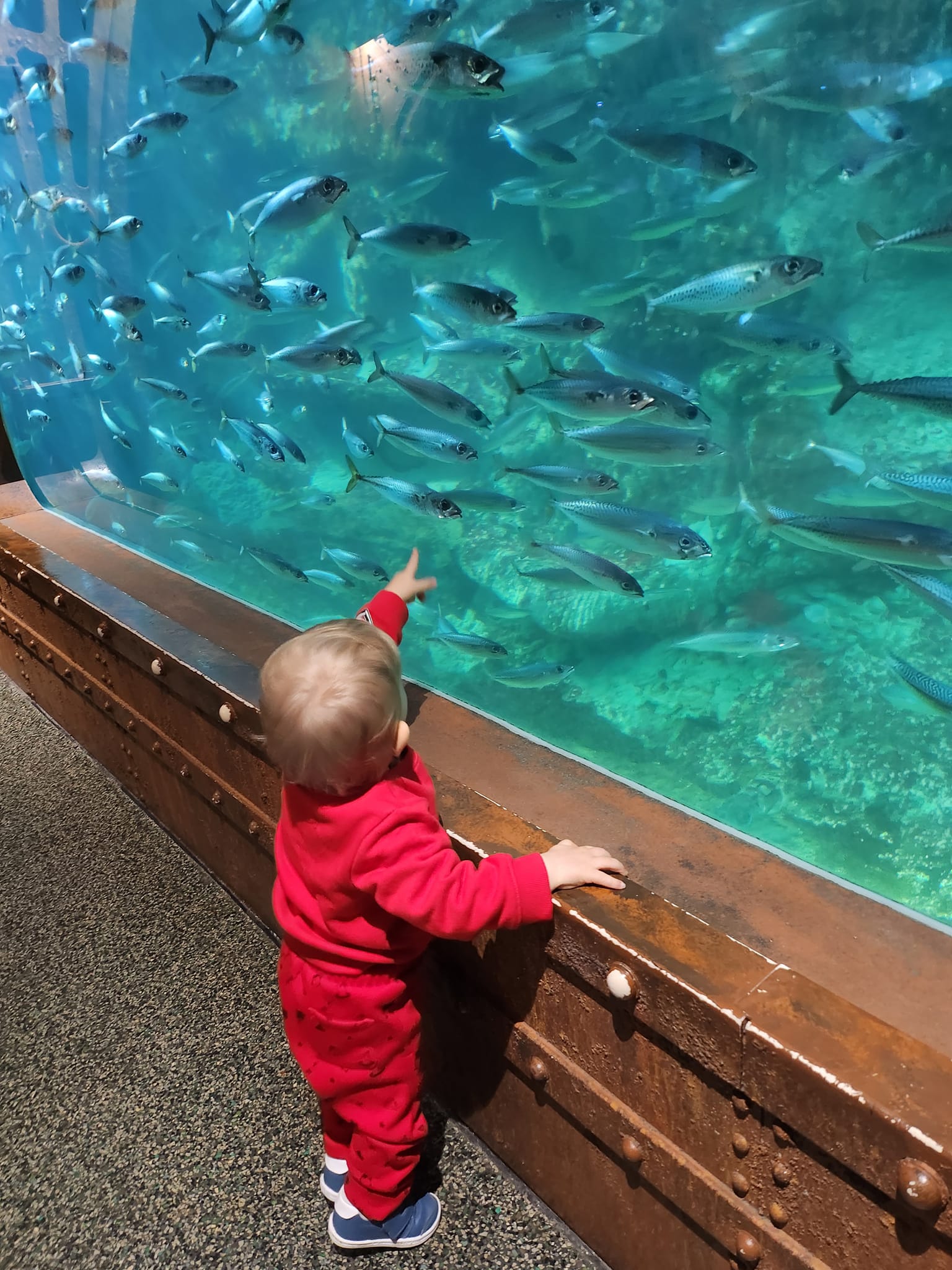 Visite Aquarirum