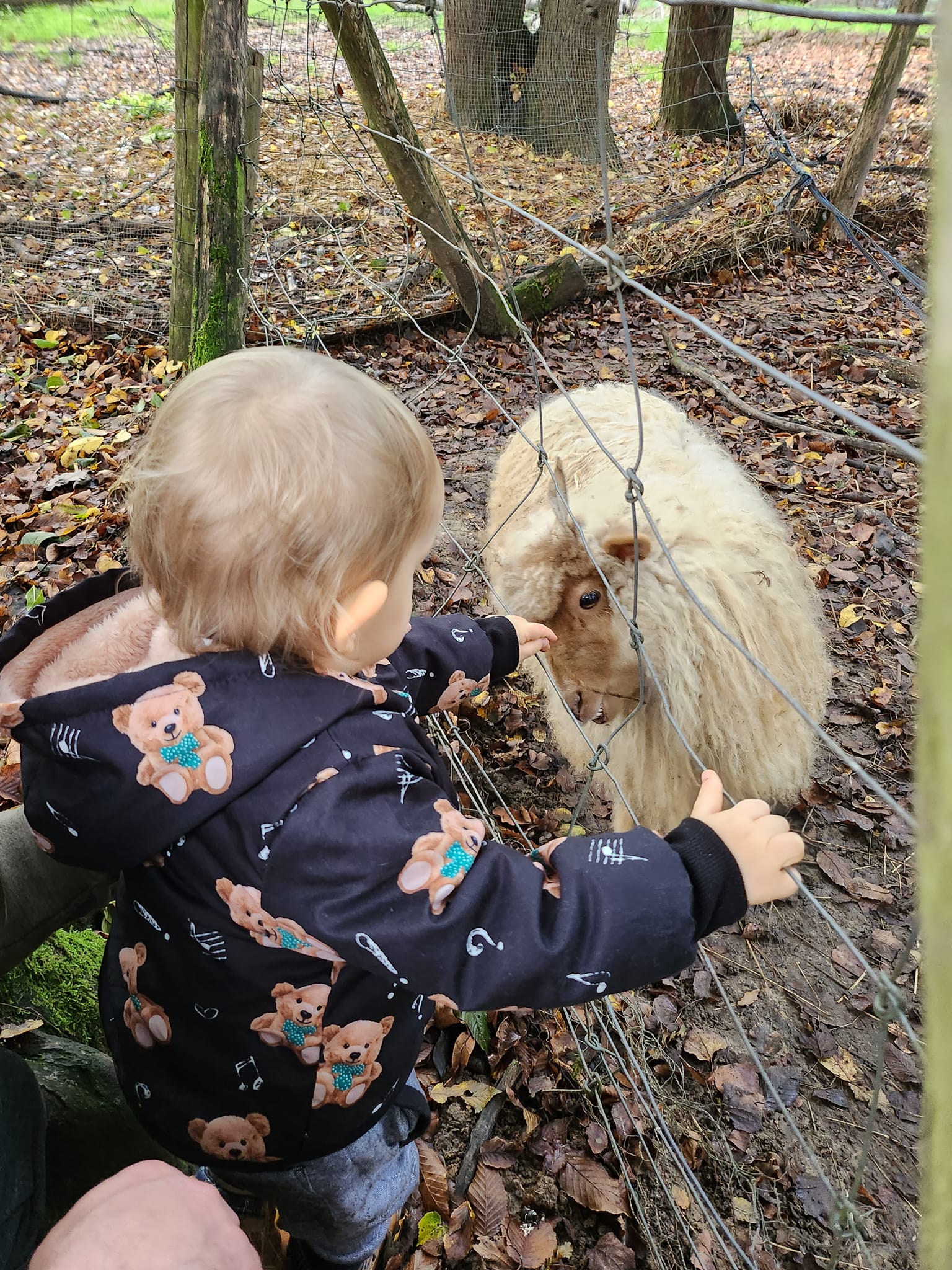 Promenade aux parcs pour enfants