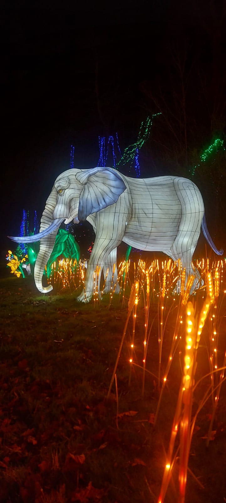 Thoiry en Lumières