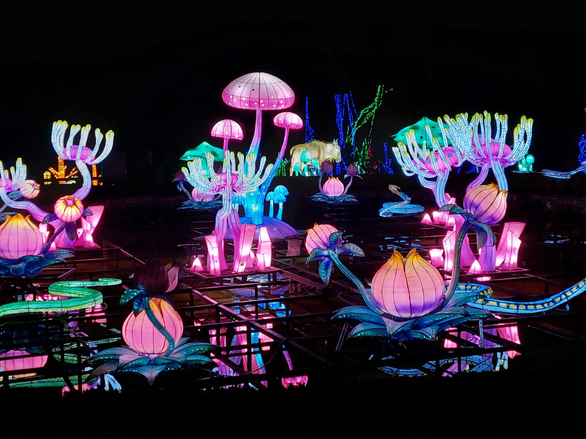Thoiry en Lumières
