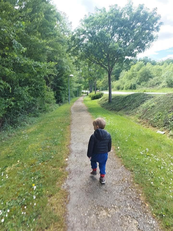 Balade dans les bois