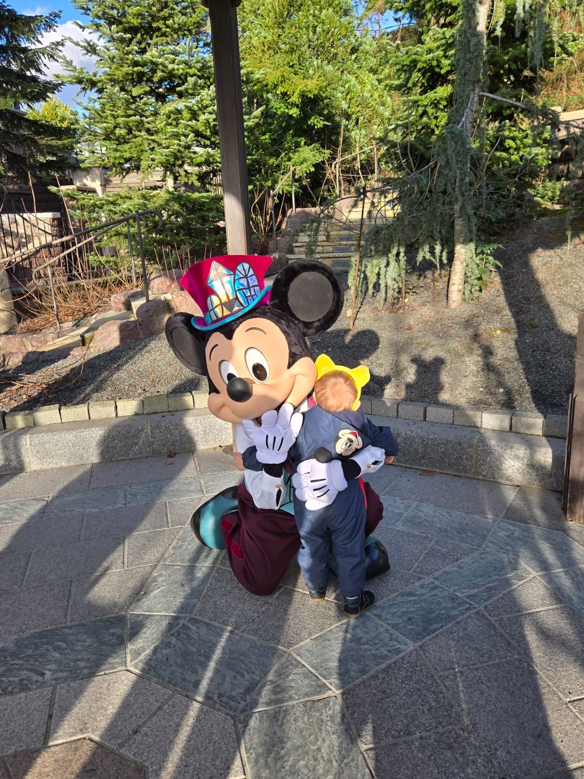 Visite à Disneyland Paris