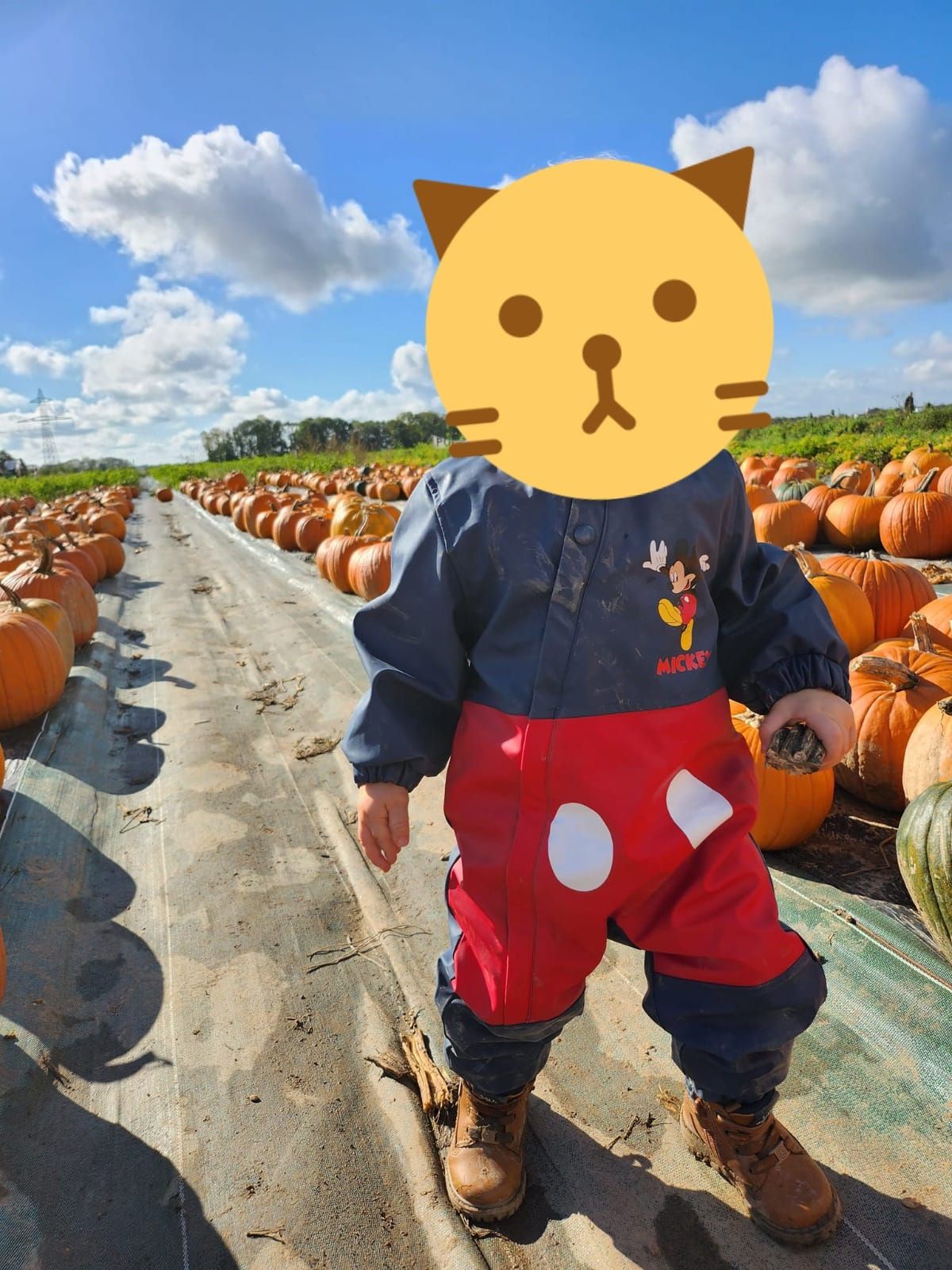 Visite à la ferme