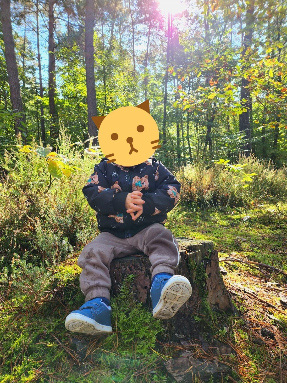 Balade dans les bois