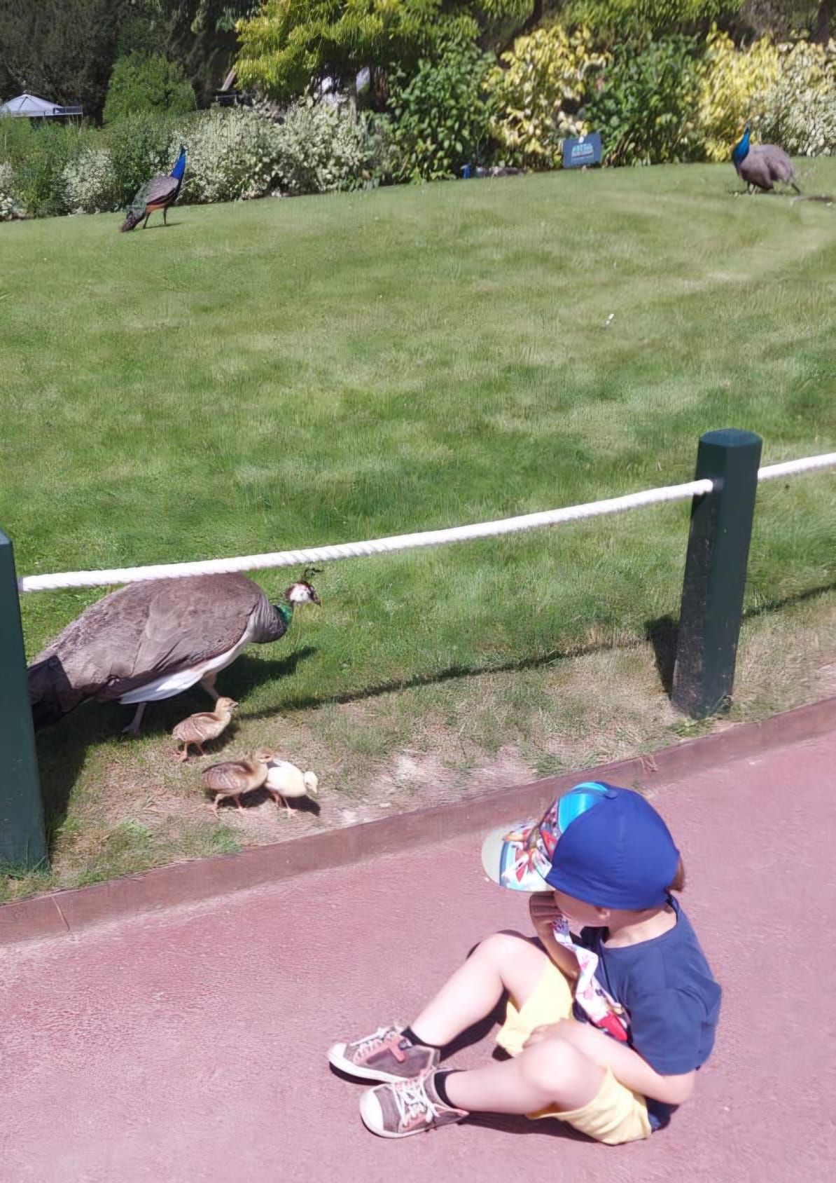 Balade au Jardin d'acclimatation