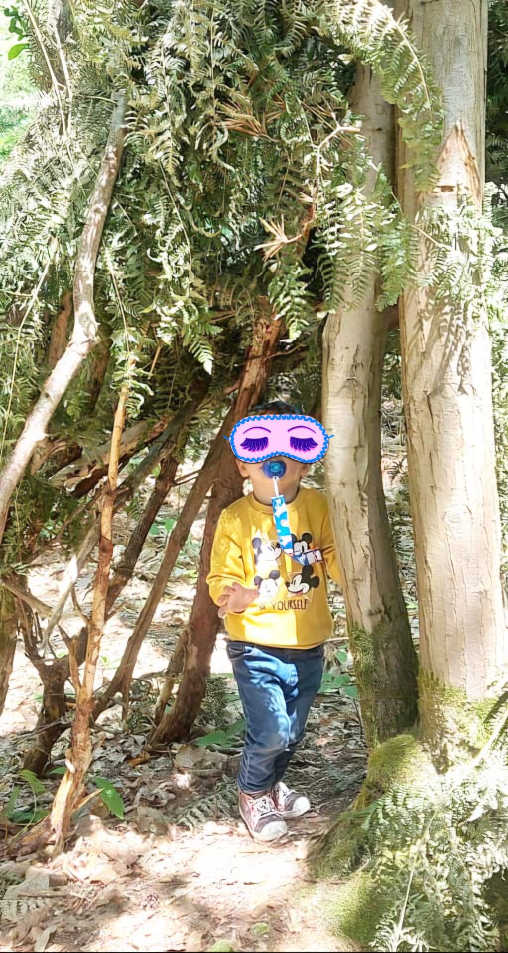 Balade dans les bois
