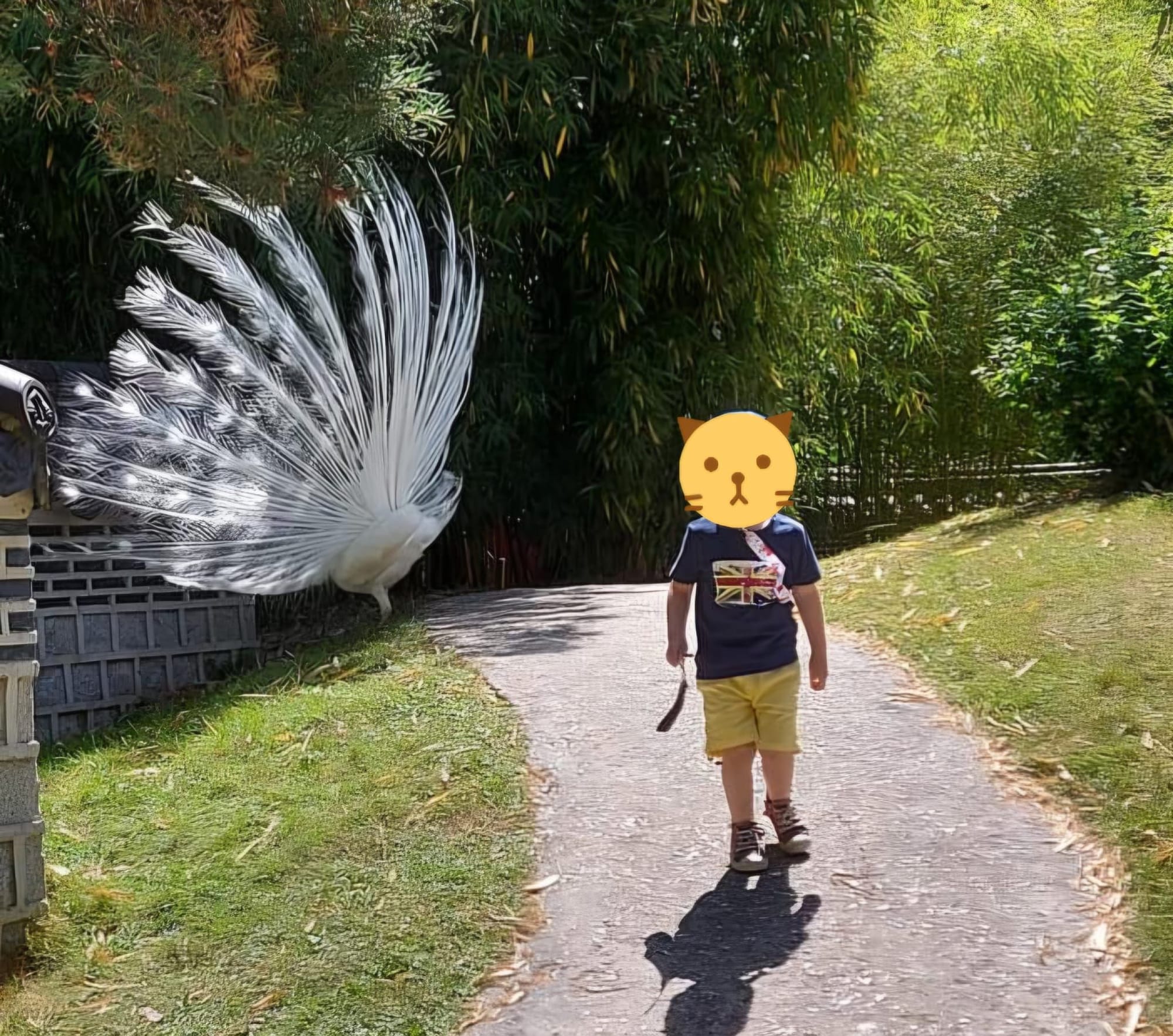 Balade au Jardin d'acclimatation