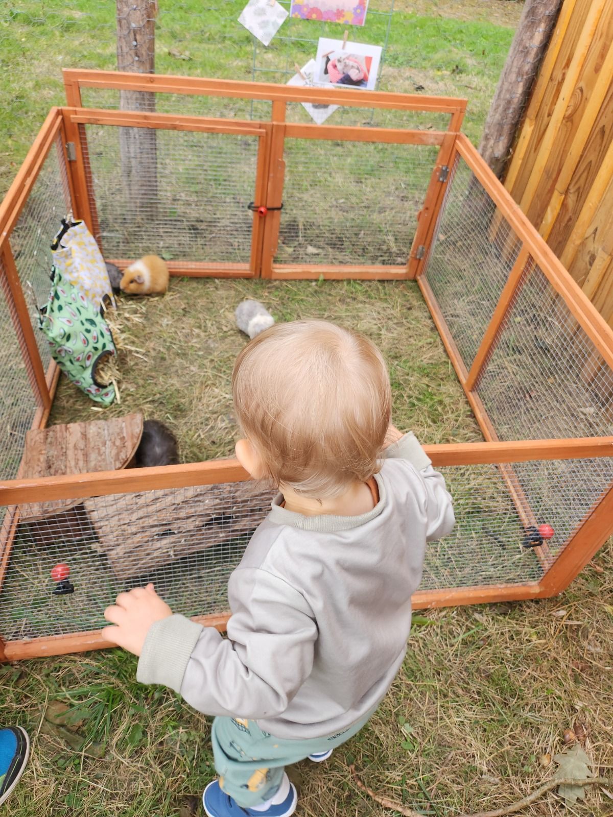 Promenade aux parcs pour enfants