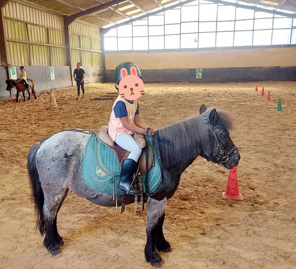 Sortie extrascolaire