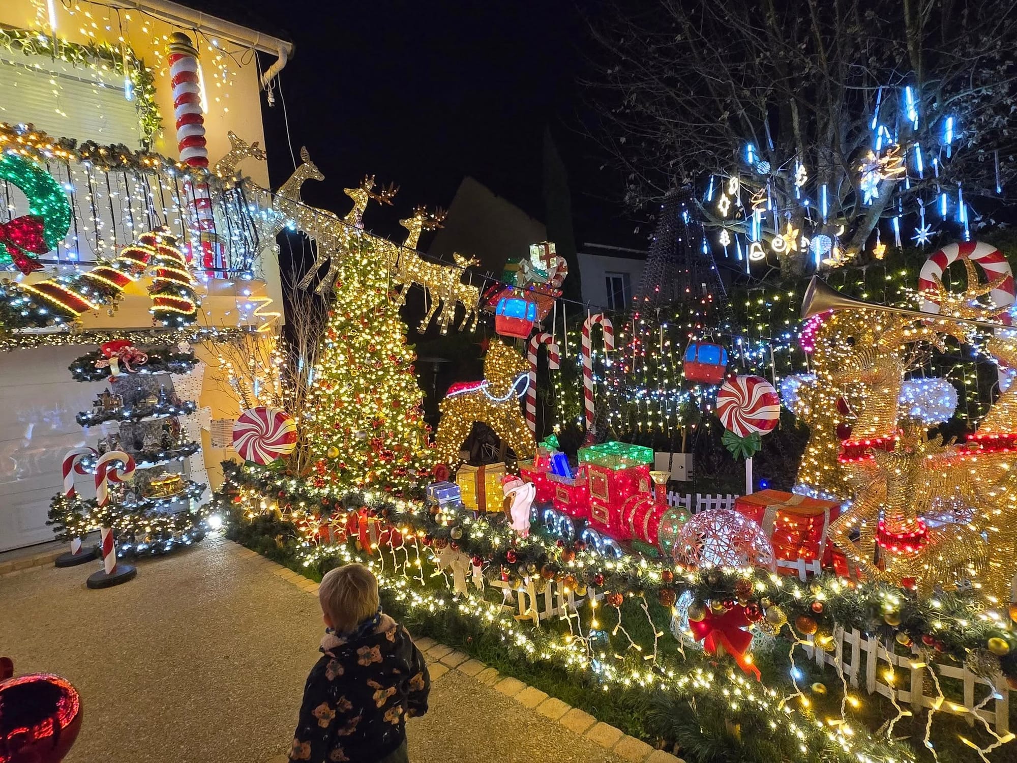 Visite illuminations Noel