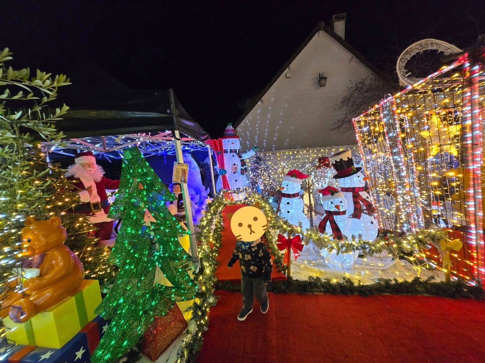 Visite illuminations Noel