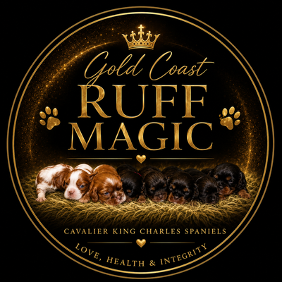 Gold Coast Ruff Magic