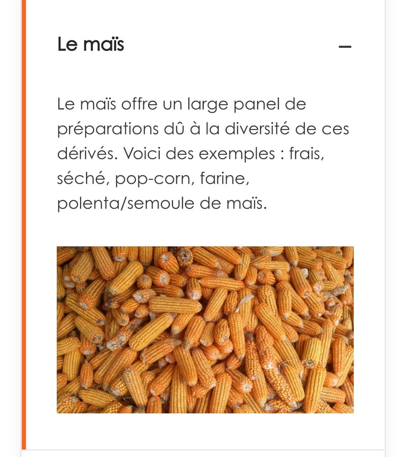 Le maïs