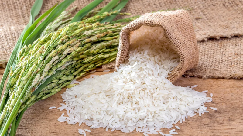 Le Riz