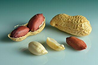 Les cacahuètes