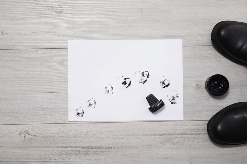 Fingerprinting Guidance & Submission Checks
