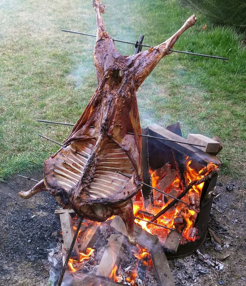 CORDERO A LA LLAMA