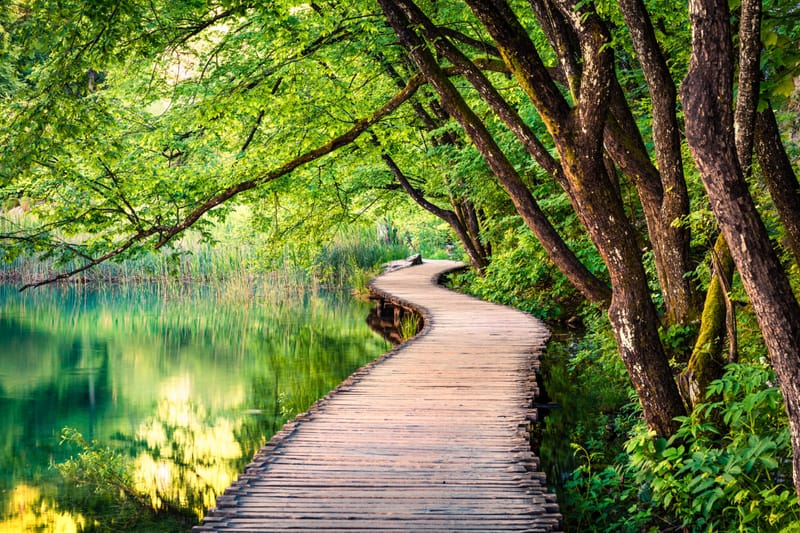 Transformational Journey