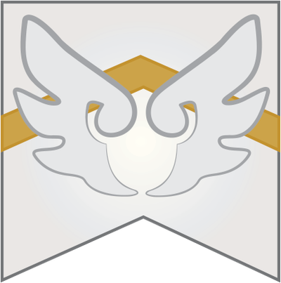 House Vaillant