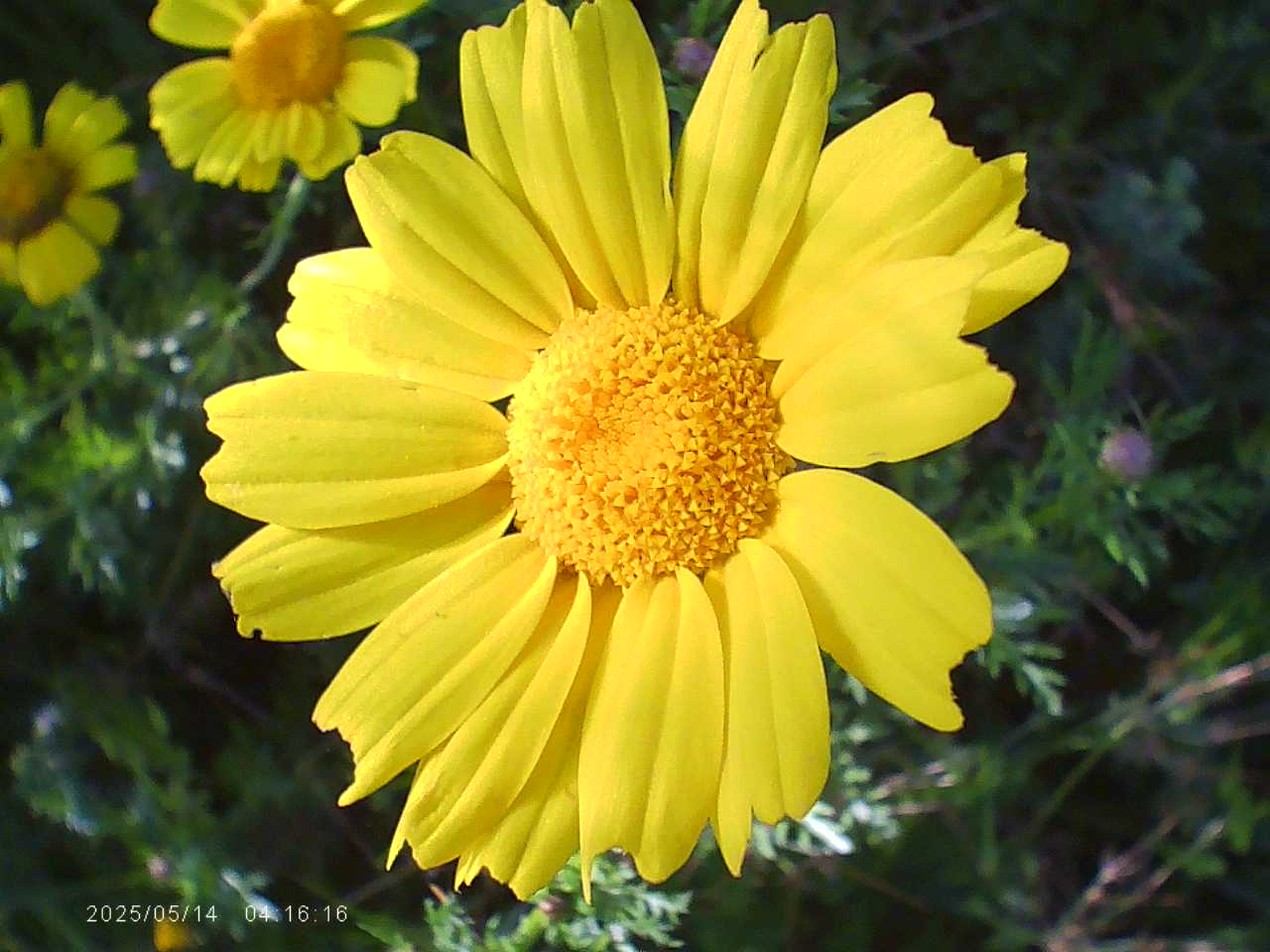 La bellezza e Armonia della natura.
