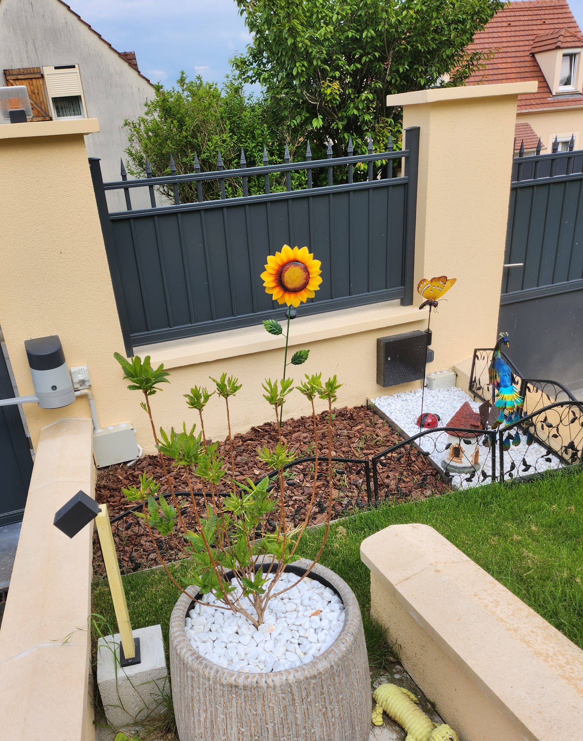 jardin avant
