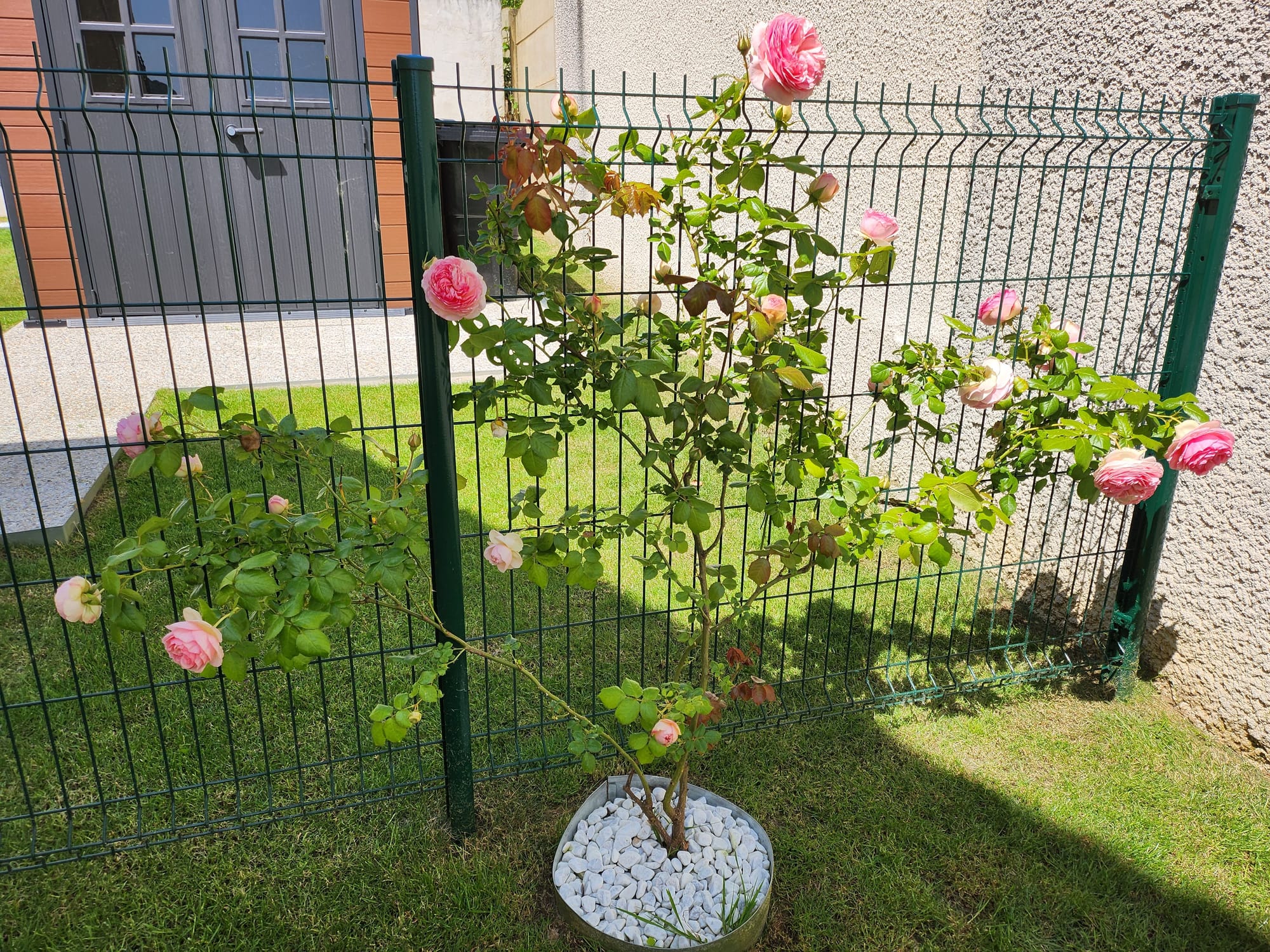 jardin avant