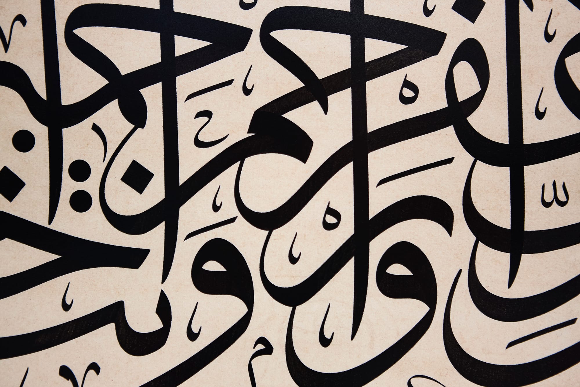 تاريخ اللغة العربية