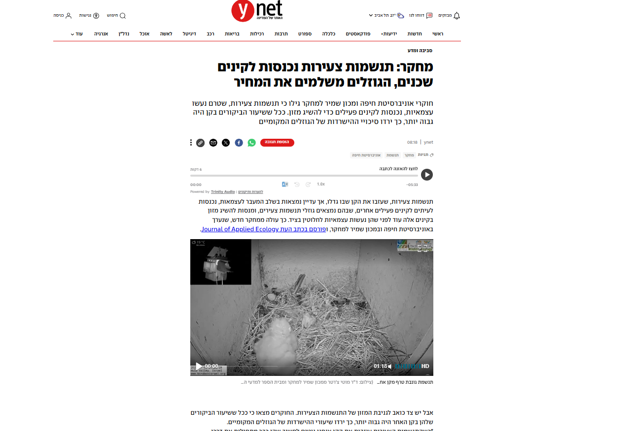 מחקר: תנשמות צעירות נכנסות לקינים שכנים, הגוזלים משלמים את המחיר