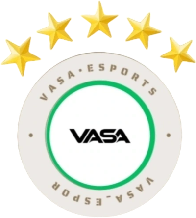vasaesportsgg.com