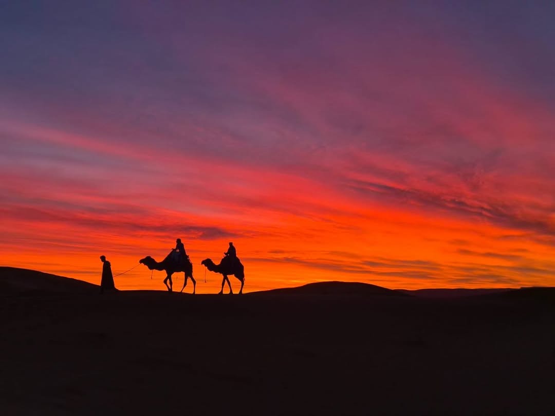 Top 20 excursions au départ de Marrakech, mer, montagne et désert en une journée