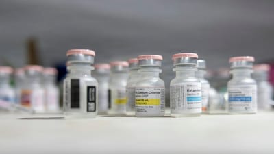 מדבקות למבחנות ולמעבדות: הקפאה עמוקה, חנקן נוזלי ו-2D