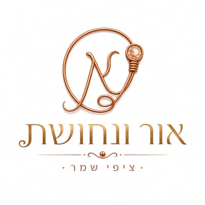 ציפי שמר - ''אור ונחושת''