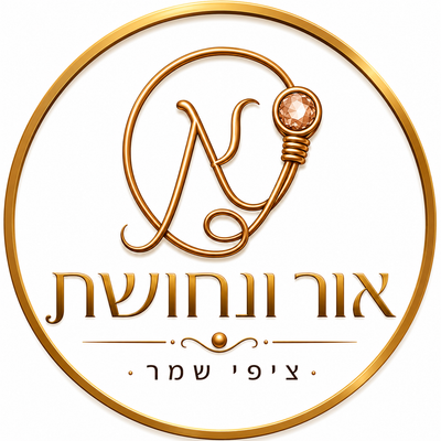 ציפי שמר - ''אור ונחושת''