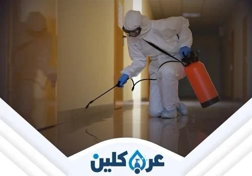 مكافحة الحشرات المنزلية