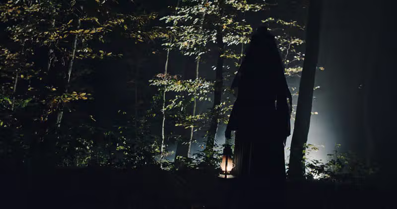 Misty cinematic forest landscape