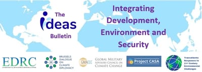 The IDEAS Bulletin image