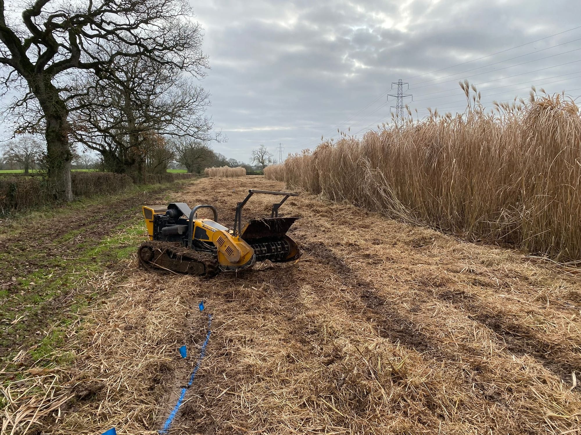 Robocut (Remote Controlled Flail Mower)