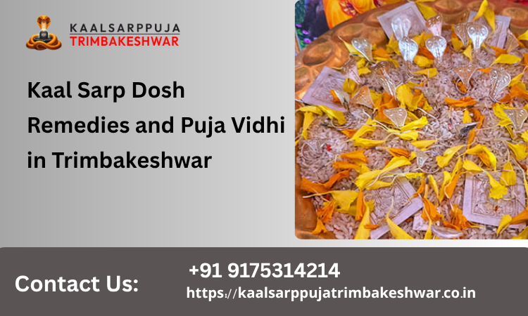 Kaal Sarp Dosh Remedies And Puja Vidhi In Trimbakeshwar 
